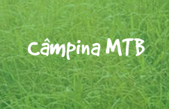 2019.campina-mtb.ro.png